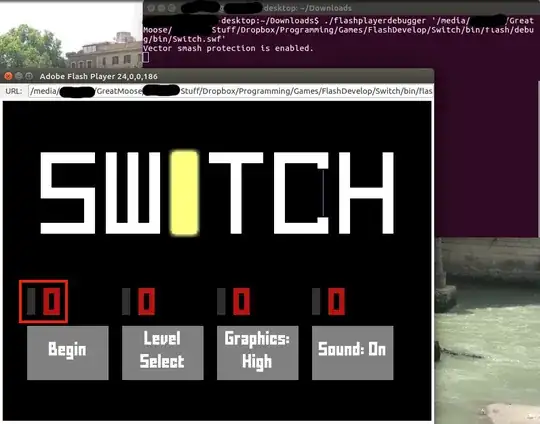 Image of a flash program running