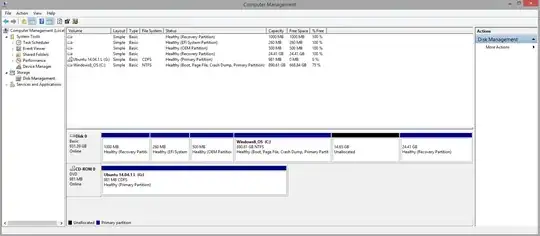 Windows Computer Management window