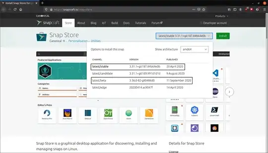 Snap Store website screenshot