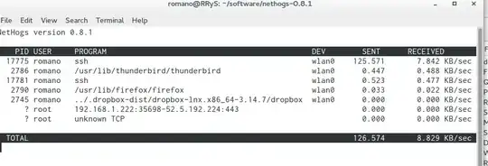example of nethogs running