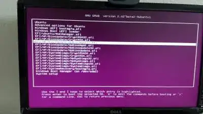 This is how my GRUB menu entry looks like