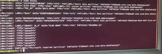 blkid result