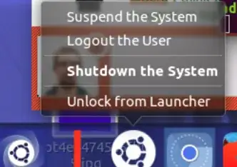 Launcher entry with all options visible