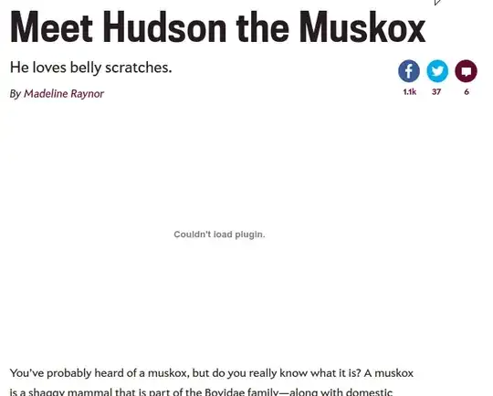 Picture of flash not loading