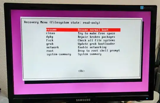 Picture of the system in recovery mode