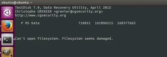 Can't open filesystem (screenshot)