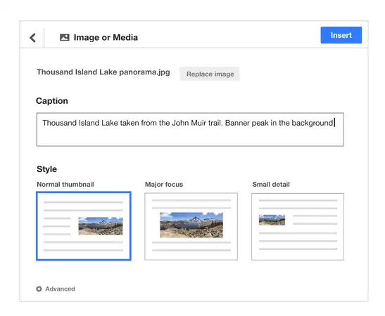 4. Then they are taken to a screen where they can enter or edit the caption (pulled from the image description if possible). They can also choose the layout.