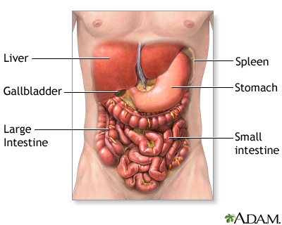 Abdominal exploration - series Abdominal exploration - series