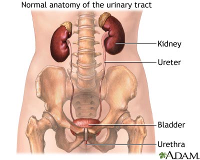 Osmolality urine - series