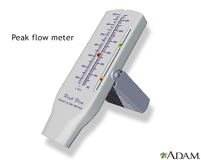 Peak flow meter Peak flow meter