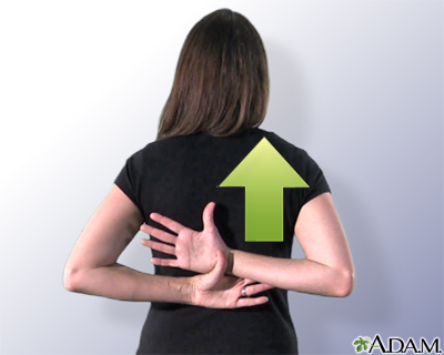 Up the back stretch Up the back stretch