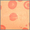 Red blood cells, target cells Red blood cells, target cells