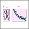 Chromosomes and DNA Chromosomes and DNA