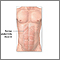 Abdominal muscles