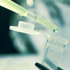 Cancer Immunotherapy