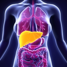 Fatty Liver Disease