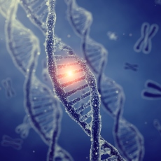 Genetic Brain Disorders