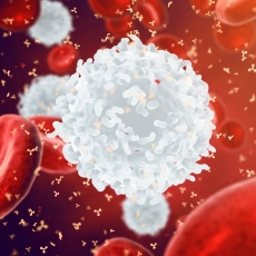 Immune System and Disorders