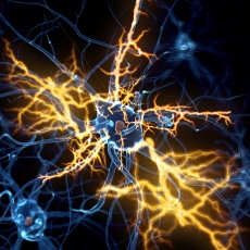 Amyotrophic Lateral Sclerosis