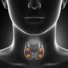 Parathyroid Disorders