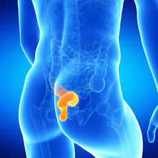 Rectal Disorders
