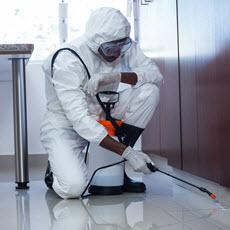 Reproductive Hazards