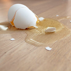 Salmonella Infections