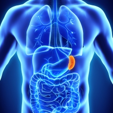 Spleen Diseases