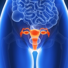 Uterine Cancer