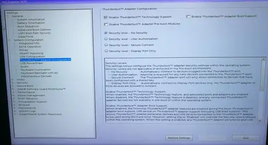 my own Dell laptop with its own Thunderbolt BIOS setup