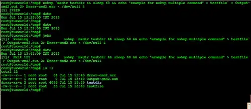nohup-multiple-command