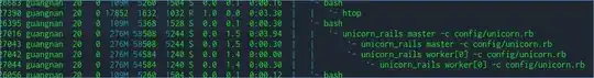 htop showing multiple unicorn_rails lines