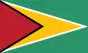 Flag of Guyana