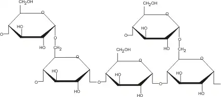 Glycogen bonds