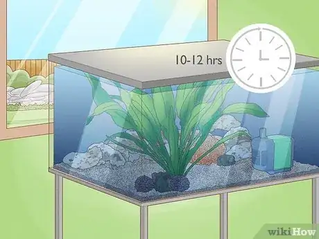 Image titled Plant an Amazon Sword Plant Step 3