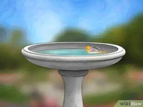 Image titled Attract Birds Step 11