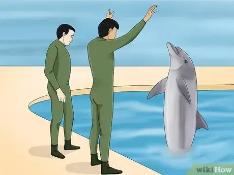 Image titled Become a Dolphin Trainer Step 13