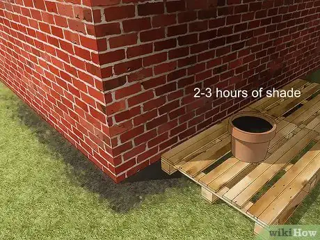 Image titled Grow Jasmine in a Pot Step 2