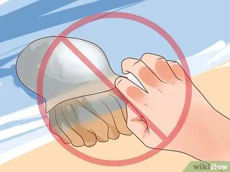 Image titled Avoid Getting Stung by Jellyfish Step 8
