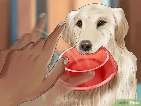 Image titled Understand Dog Pack Dynamics Step 5