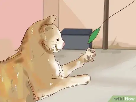 Image titled Make Friends With a Stray Cat Step 10