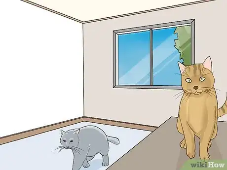 Image titled Use Cats for Pest Control Step 2