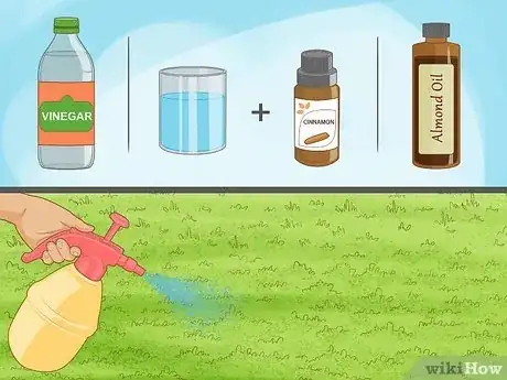 Image titled Get Rid of Sweat Bees Step 14