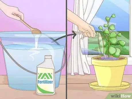 Image titled Get a Hoya Plant to Bloom Step 13