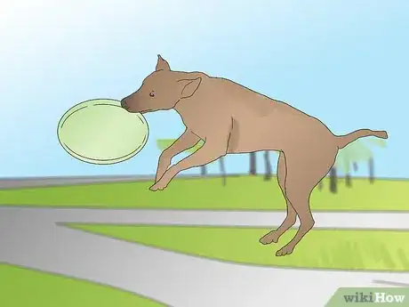 Image titled Protect Doors from Dog Scratches Step 7