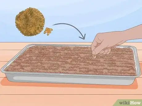 Image titled Plant Sycamore Tree Seeds Step 1