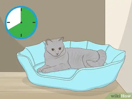 Image titled Set Up Cat Shelves Step 2