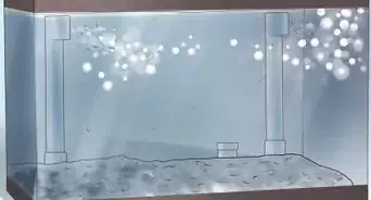 Create an Undergravel Filter for Your Fishtank