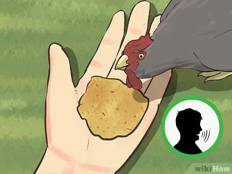 Image titled Train Chickens Step 10