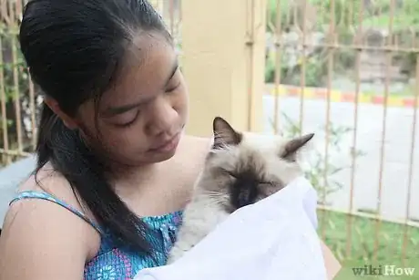 Image titled Help a Sick Cat Step 12